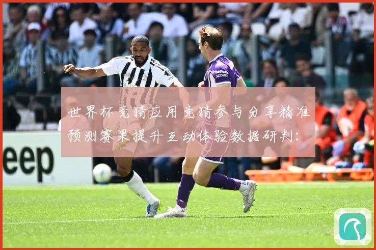 世界杯竞猜应用竞猜参与分享精准预测赛果提升互动体验数据研判：最新赛事动态与深度分析